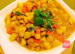 咖喱鸡肉土豆的做法图解7