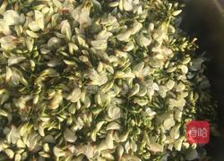 槐花饼的做法图解1