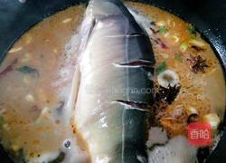 红烧鲤鱼的做法图解4