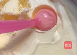 芒果冰淇淋的做法图解5