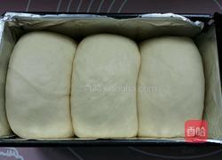 奶油吐司面包的做法图解11