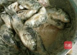 香炸鲫鱼的做法图解1