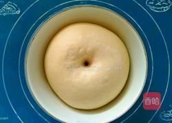 酸奶蔓越莓手撕包的做法图解4