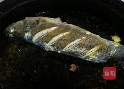 红烧鲈鱼的做法图解3