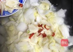 醋溜白菜的做法图解9