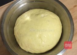 肉松面包的做法图解3