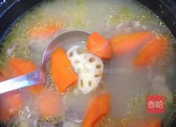 棒骨莲藕胡萝卜汤的做法图解5