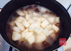 白萝卜猪肺汤的做法图解9