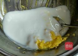 酸奶冰淇淋的做法图解8