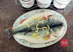 清蒸鱸魚的做法图解2