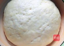番茄奶酪披萨的做法图解6
