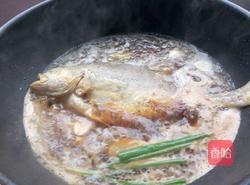 MjUwX2MxOjEvM15yYjI6MS84XzA