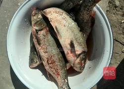鲢鱼炖豆腐的做法图解1