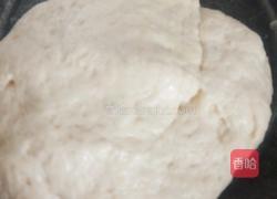 蔬菜面疙瘩的做法图解2