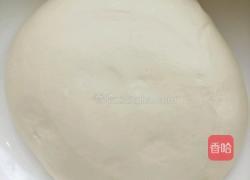 彩色饺子皮的做法图解5