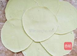 彩色饺子皮的做法图解9