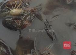 ?简易小龙虾的做法图解1