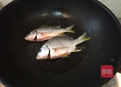 酸汤鱼的做法图解4