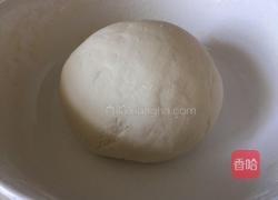 虾仁饺子的做法图解4