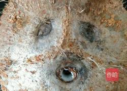 椰子煲乌鸡汤的做法图解2