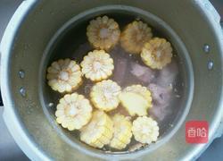 玉米炖排骨的做法图解5
