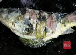 韩式辣酱铁锅炖鱼的做法图解4