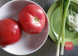 西红柿凉拌面的做法图解1