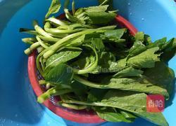 白灼菜心的做法图解1