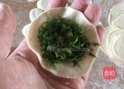 茴香苗素水饺的做法图解12