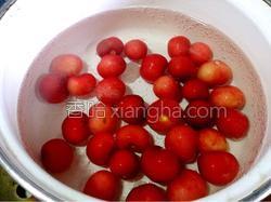 樱桃煮冰糖的做法大全 MjUwX2MxXzA