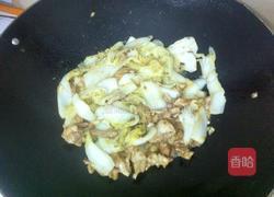 圆白菜炒肉的做法图解7
