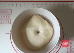奶酪披萨的做法图解4