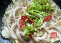 洋葱炒鸡肉的做法图解8