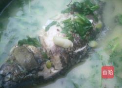 鲫鱼汤的做法图解6