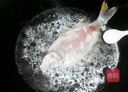 炖鱼的做法图解5