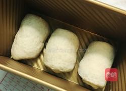 全麦吐司的做法图解4