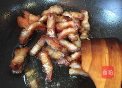 凉拌粉的做法图解4