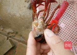 香辣小龙虾的做法图解3