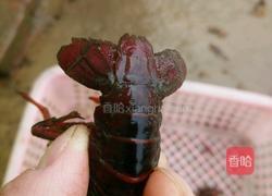 香辣小龙虾的做法图解4