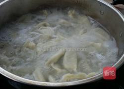 韭菜鸡肉馅饺子的做法图解13