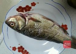 豆瓣鲫鱼的做法图解2