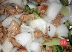 洋葱炒鸡肉的做法图解8