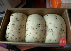 全麦黑芝麻奶香土司的做法图解10