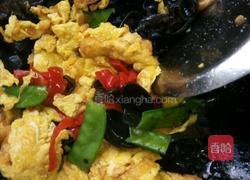 木耳炒鸡蛋的做法图解5
