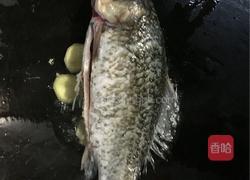 鲫鱼苦瓜豆腐汤的做法图解3