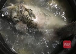 鲫鱼苦瓜豆腐汤的做法图解4