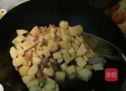 土豆炖肉的做法图解4