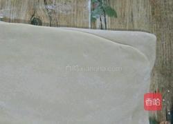 自制 老式 香甜葵花酥 （包酥）的做法图解8