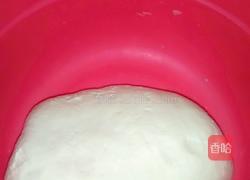 地皮菜包子的做法图解3