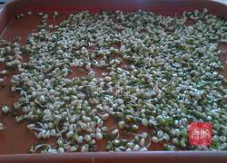 培植绿豆芽的做法图解1